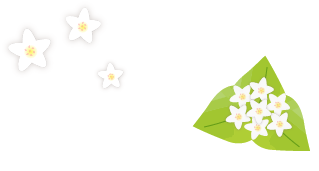 飛騨 & 荘川